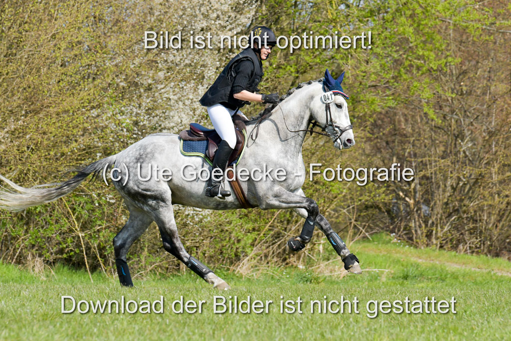 NG Eventing Elmenhorst 21.4.22 | Büchler, Miriam - Butts Armani_04