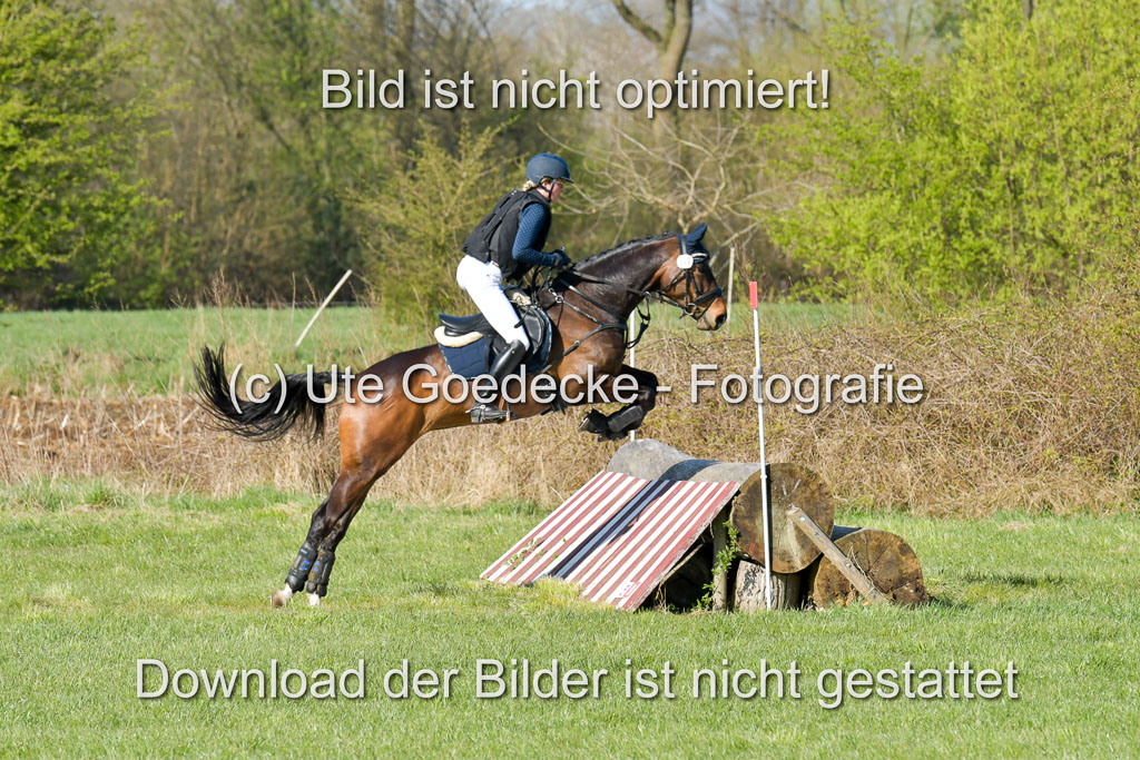 NG Eventing Elmenhorst  21.4.22 | Engel, Wiebke - Little Surprise_3 