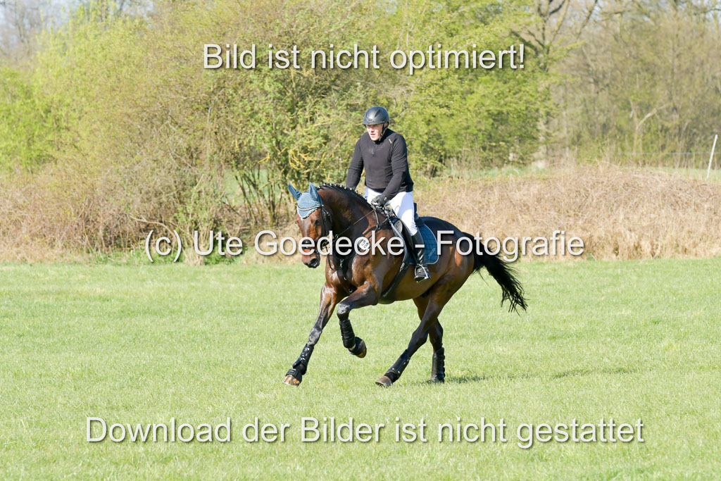 NG Eventing Elmenhorst 21.4.22 | Finck, Enrico - Gemmy K_12