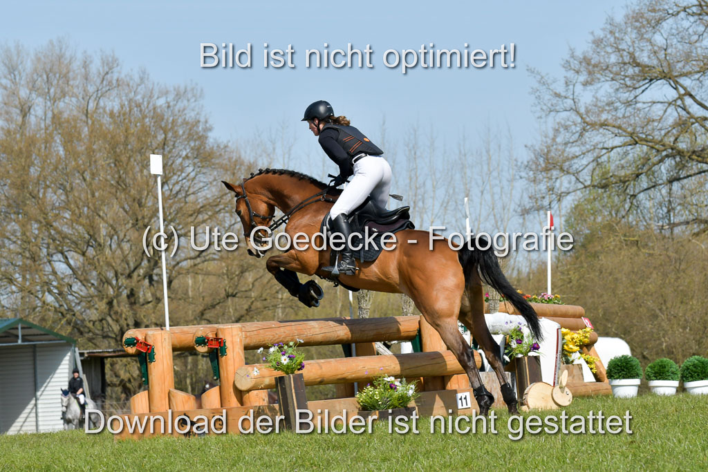 NG Eventing Elmenhorst 21.4.22 | Fleischer, Vasnessa - Vaany _07