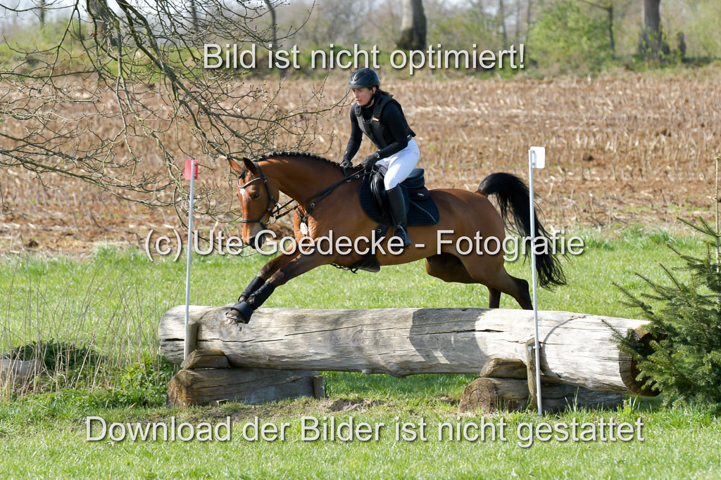 NG Eventing Elmenhorst 21.4.22 | Fleischer, Vasnessa - Vaany _10