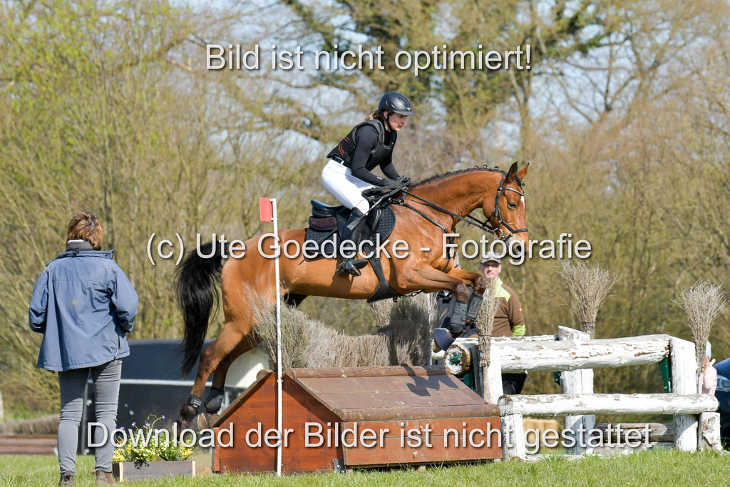 NG Eventing Elmenhorst 21.4.22 | Fleischer, Vasnessa - Vaany