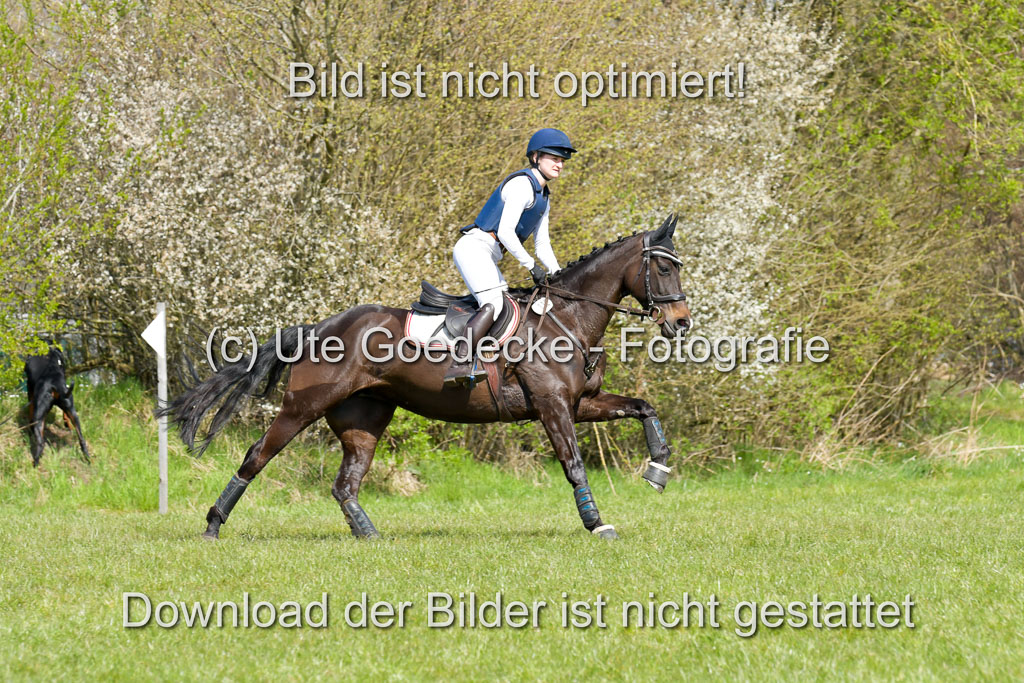 NG Eventing Elmenhorst  21.4.22 | Gamm, nadine - Dees Damara_03 