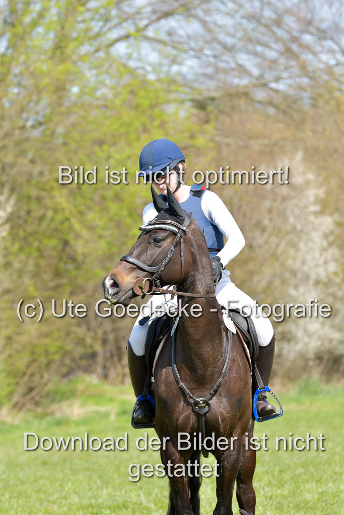NG Eventing Elmenhorst 21.4.22 | Gamm, nadine - Dees Damara