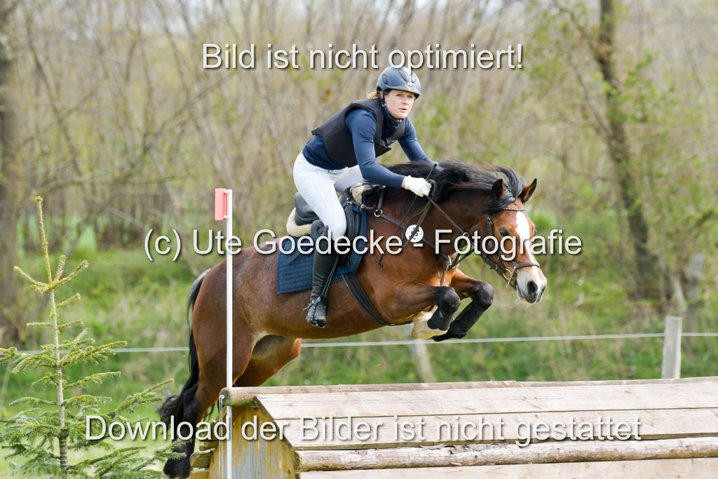 NG Eventing Elmenhorst 21.4.22 | Haensel, Sarah - Holla die Waldfee