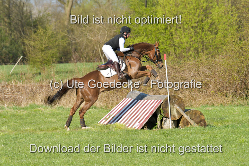 NG Eventing Elmenhorst 21.4.22 | Häusermann, Kerstin - Curley Boy_02