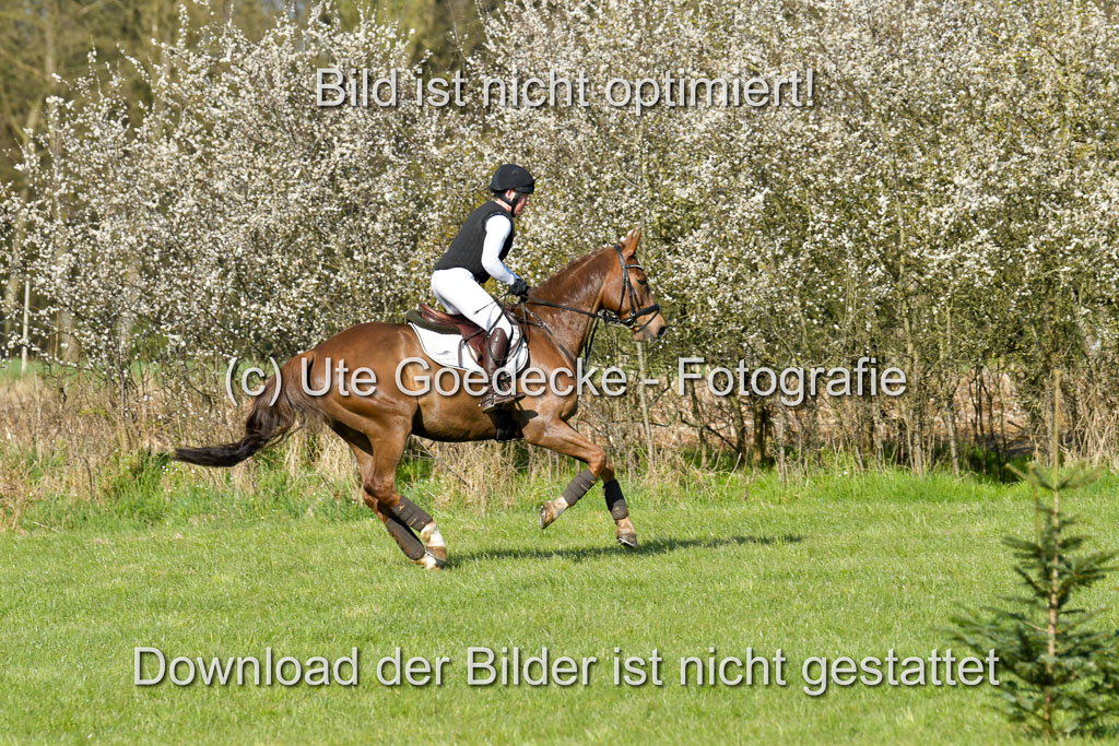 NG Eventing Elmenhorst 21.4.22 | Häusermann, Kerstin - Curley Boy_05