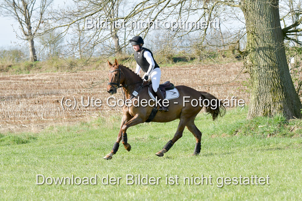 NG Eventing Elmenhorst 21.4.22 | Häusermann, Kerstin - Curley Boy_11