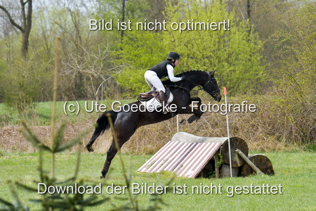 NG Eventing Elmenhorst 21.4.22 | Häusermann, Kerstin - Tullabeg Platinium_06