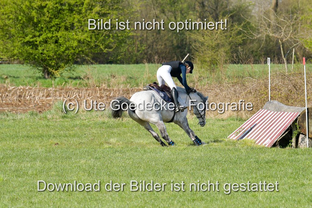 NG Eventing Elmenhorst 21.4.22 | Janßen, Pia - Lord Pico_08