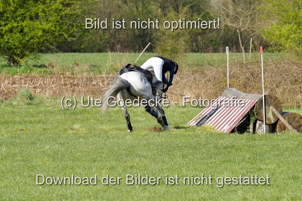 NG Eventing Elmenhorst 21.4.22 | Janßen, Pia - Lord Pico_10