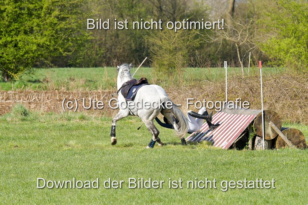 NG Eventing Elmenhorst 21.4.22 | Janßen, Pia - Lord Pico_11