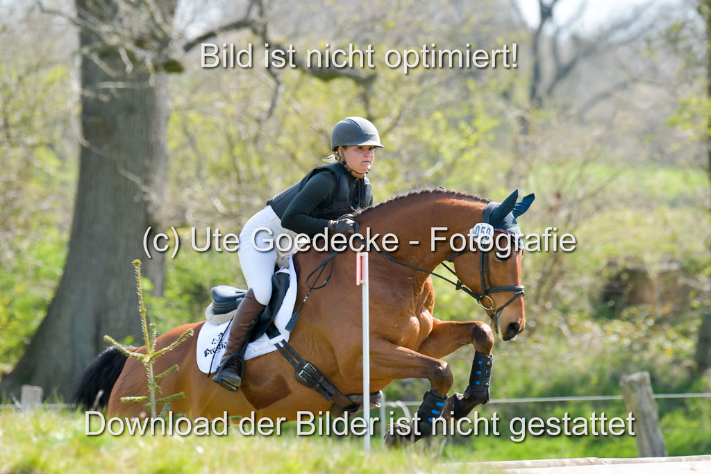 NG Eventing Elmenhorst 21.4.22 | Kienzle , Lena - Camardo _05