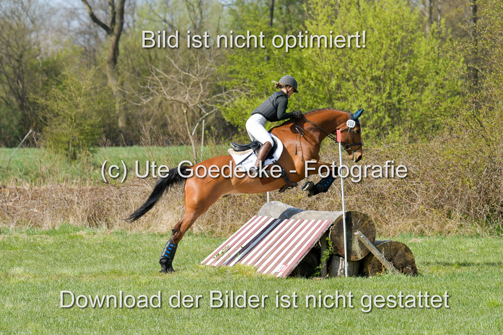 NG Eventing Elmenhorst 21.4.22 | Kienzle , Lena - Camardo _06