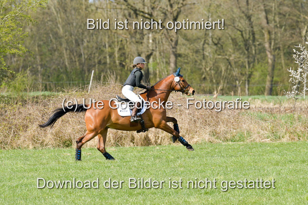 NG Eventing Elmenhorst 21.4.22 | Kienzle , Lena - Camardo _07