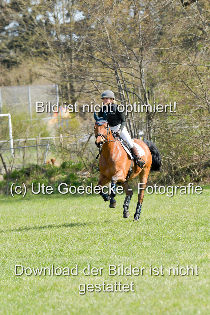 NG Eventing Elmenhorst 21.4.22 | Kienzle , Lena - Camardo _09
