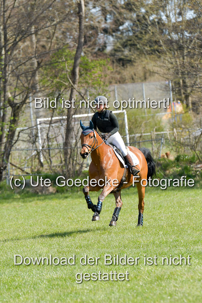 NG Eventing Elmenhorst 21.4.22 | Kienzle , Lena - Camardo _10