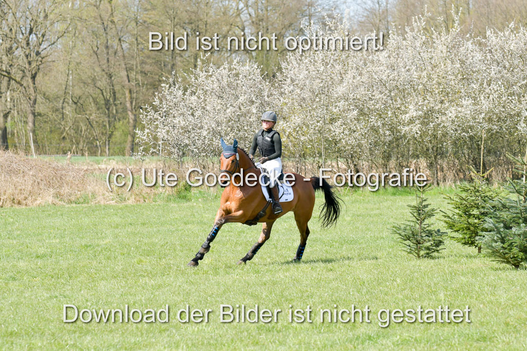 NG Eventing Elmenhorst 21.4.22 | Kienzle , Lena - Camardo _13