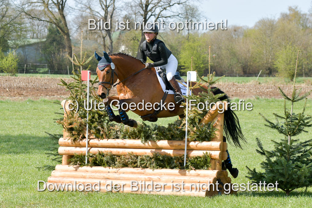 NG Eventing Elmenhorst 21.4.22 | Kienzle , Lena - Camardo _14