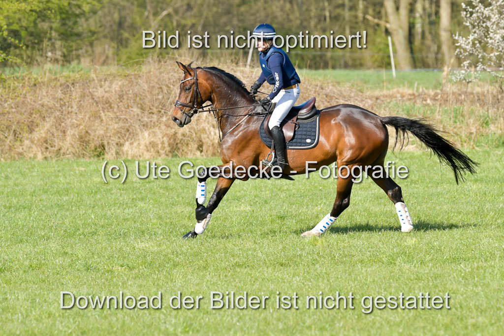NG Eventing Elmenhorst 21.4.22 | Kirchner-Salzmann, Cathrin - L'Indexa_21