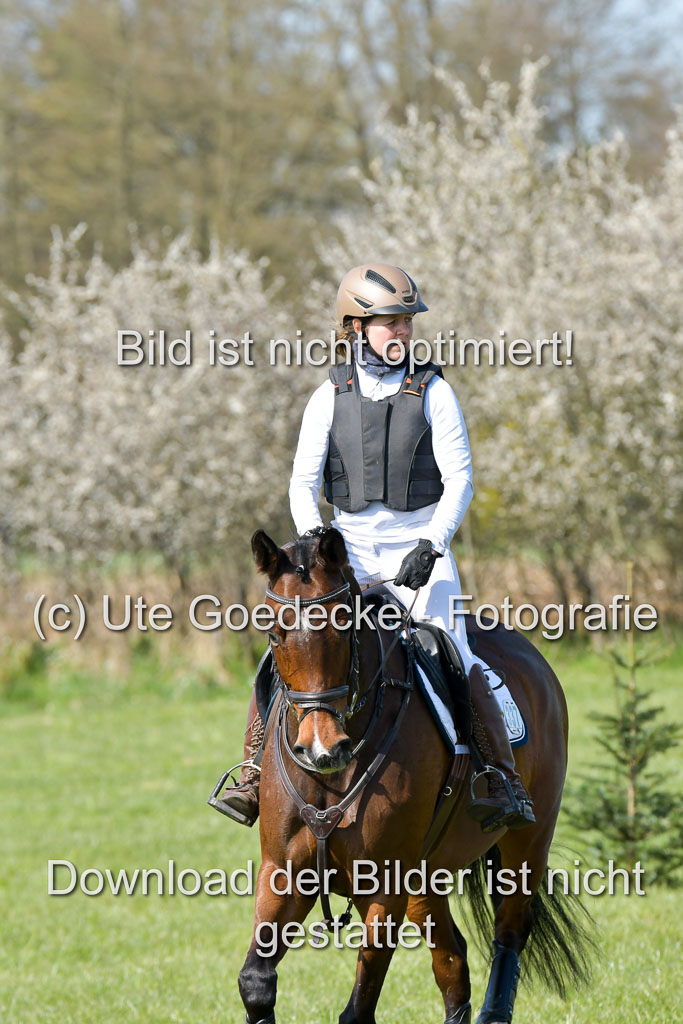 NG Eventing Elmenhorst 21.4.22 | Kuhn, tanja - Thats Luck_02