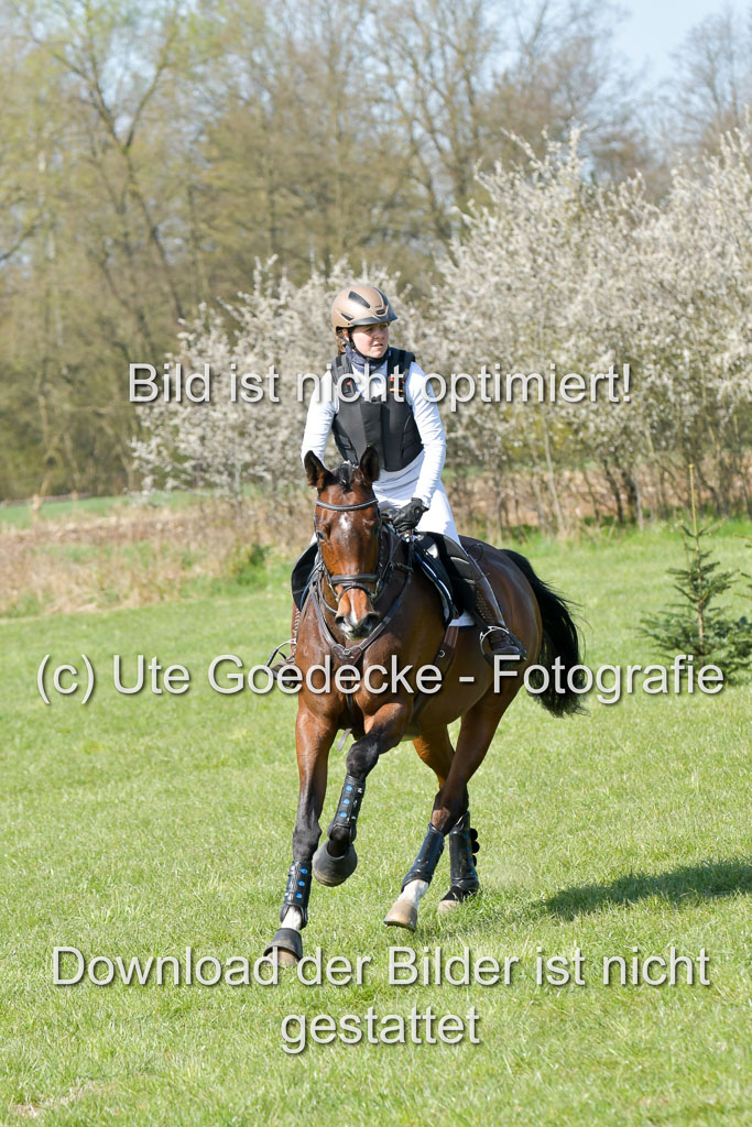NG Eventing Elmenhorst 21.4.22 | Kuhn, tanja - Thats Luck_04