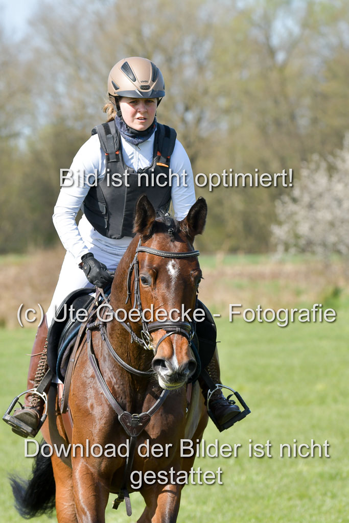 NG Eventing Elmenhorst 21.4.22 | Kuhn, tanja - Thats Luck_06