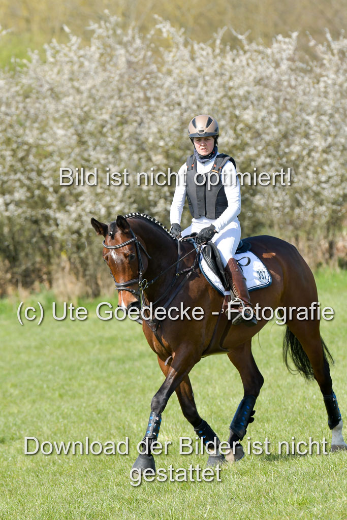 NG Eventing Elmenhorst 21.4.22 | Kuhn, tanja - Thats Luck