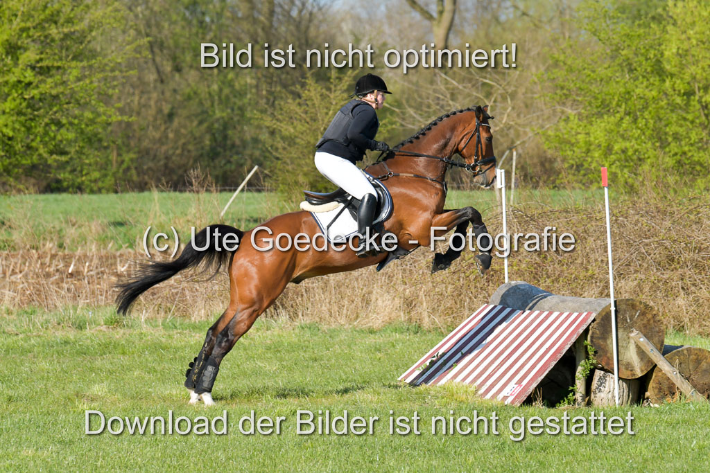 NG Eventing Elmenhorst 21.4.22 | Laamanen, Päivi - Tom Tom Go_05