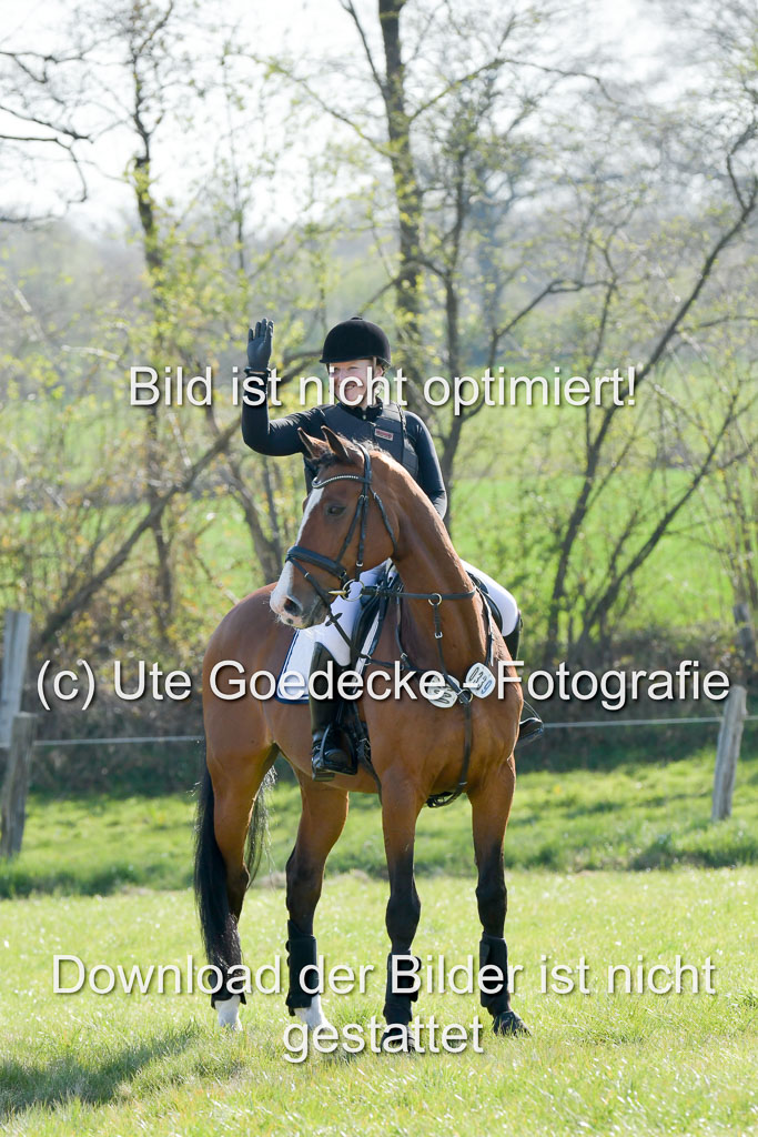 NG Eventing Elmenhorst 21.4.22 | Laamanen, Päivi - Tom Tom Go