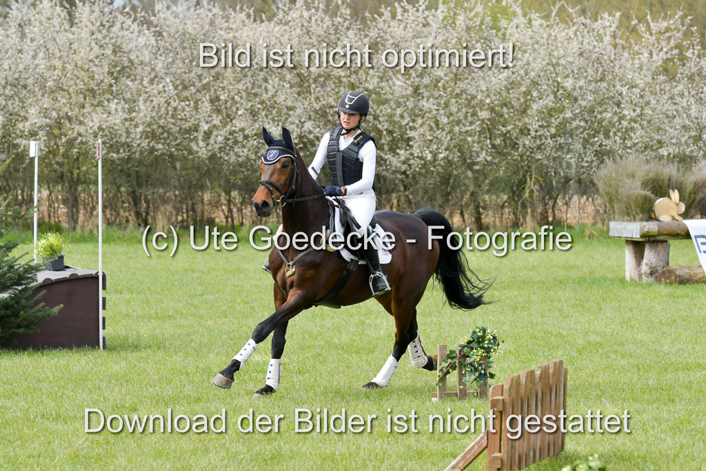 NG Eventing Elmenhorst 21.4.22 | Lladonosa Peireto, Nuria - Cristos Girl