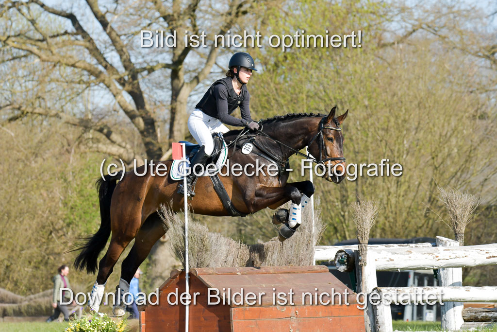 NG Eventing Elmenhorst 21.4.22 | Löding, Julia - Vigo_2