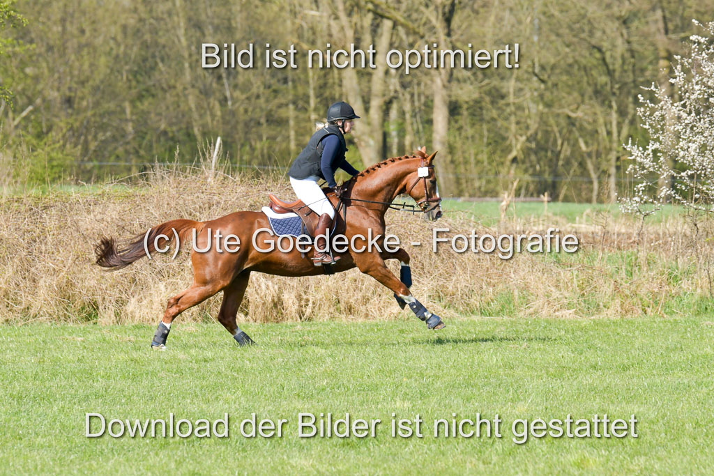 NG Eventing Elmenhorst 21.4.22 | Mass, Manja - Red Forster_04