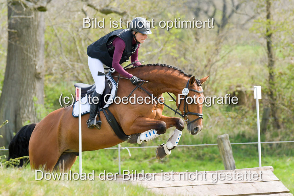NG Eventing Elmenhorst 21.4.22 | Penndorf, Sandra - Charmeur_04