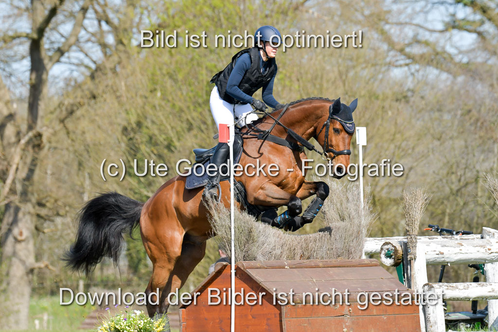 NG Eventing Elmenhorst 21.4.22 | Rohde, Jasmin - Carouso