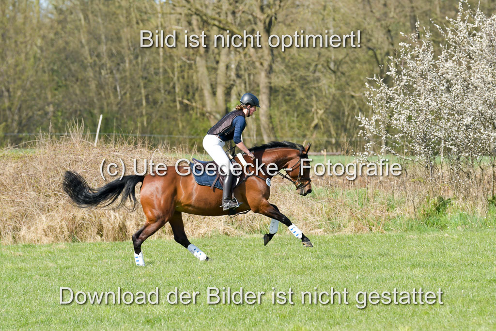 NG Eventing Elmenhorst 21.4.22 | Schulz, Christin - Hippos Rivera_06