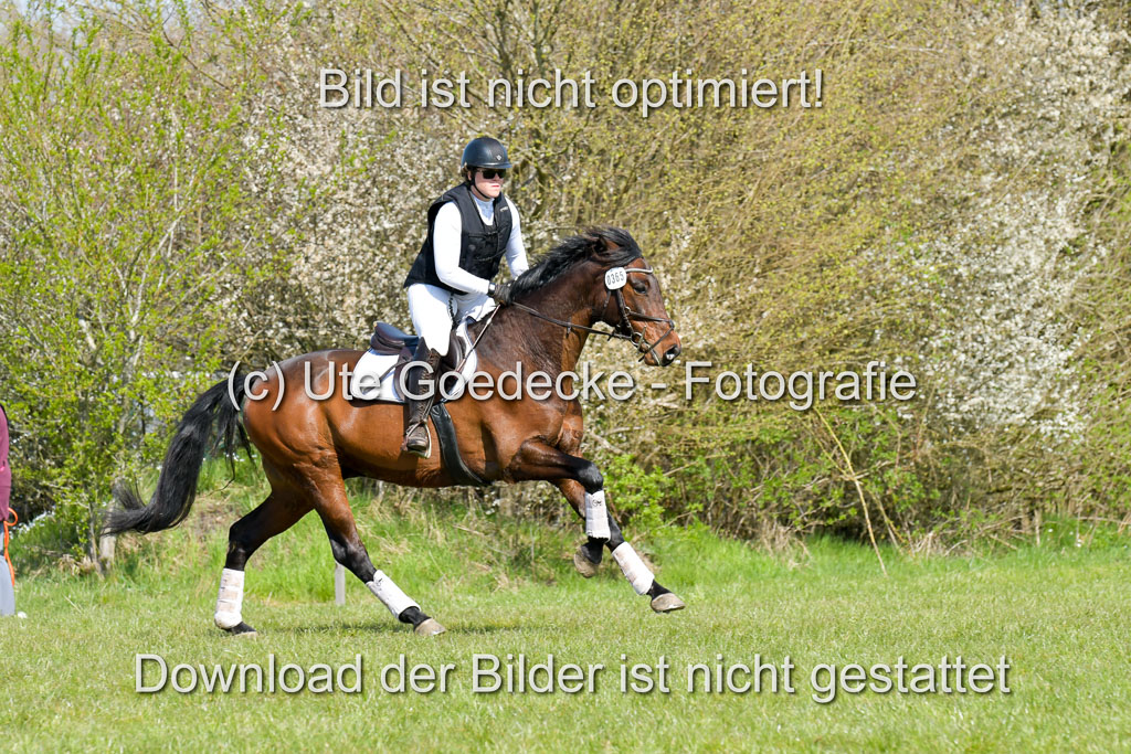 NG Eventing Elmenhorst  21.4.22 | Stöhr, Stella Maria - Catwalker_02 