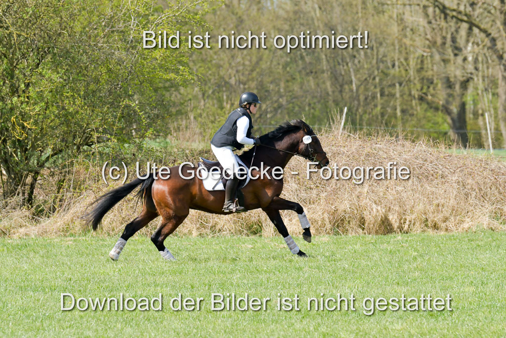NG Eventing Elmenhorst 21.4.22 | Stöhr, Stella Maria - Catwalker_06