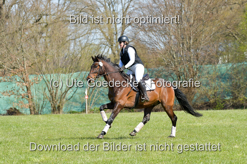 NG Eventing Elmenhorst 21.4.22 | Stöhr, Stella Maria - Catwalker_10
