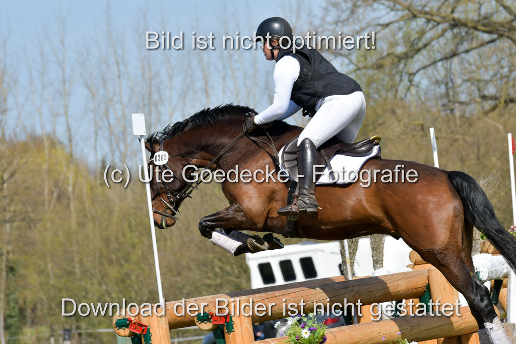 NG Eventing Elmenhorst  21.4.22 | Stöhr, Stella Maria - Catwalker_11 