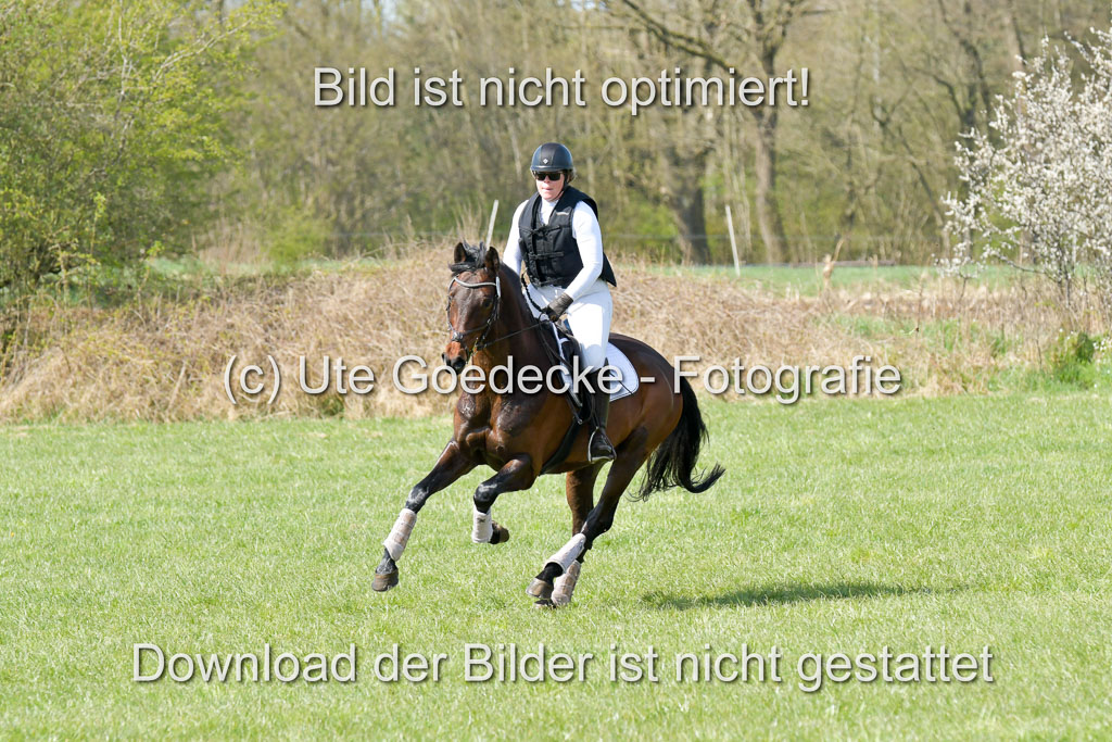 NG Eventing Elmenhorst  21.4.22 | Stöhr, Stella Maria - Catwalker_15 