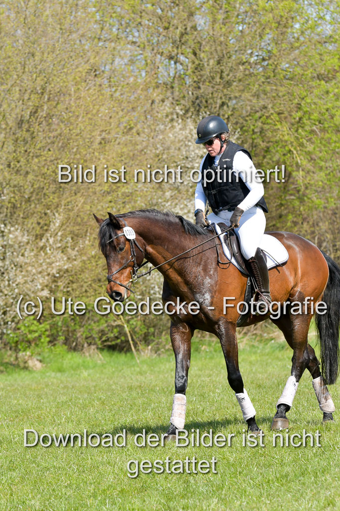 NG Eventing Elmenhorst 21.4.22 | Stöhr, Stella Maria - Catwalker_18