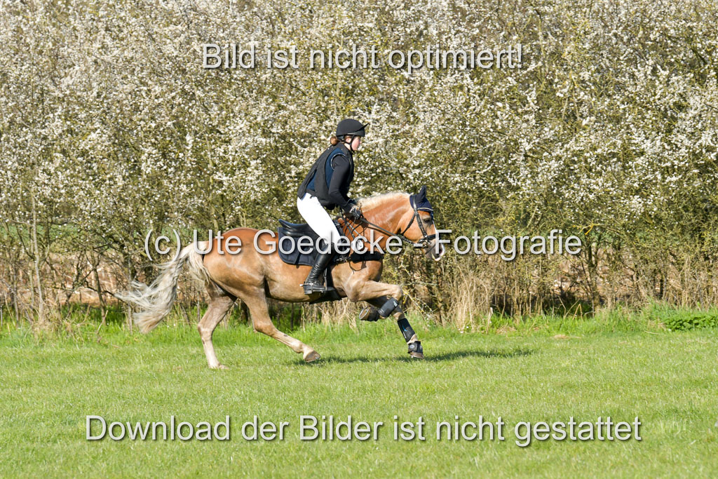 NG Eventing Elmenhorst 21.4.22 | Tauscher, Anna Lara - Andiamo _07