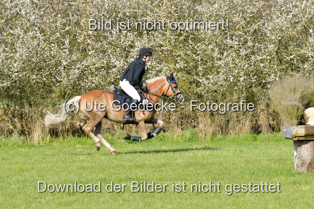 NG Eventing Elmenhorst 21.4.22 | Tauscher, Anna Lara - Andiamo _08