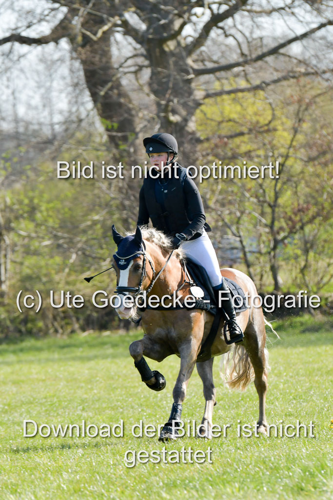 NG Eventing Elmenhorst 21.4.22 | Tauscher, Anna Lara - Andiamo _09