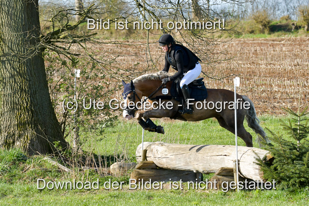 NG Eventing Elmenhorst 21.4.22 | Tauscher, Anna Lara - Andiamo _14
