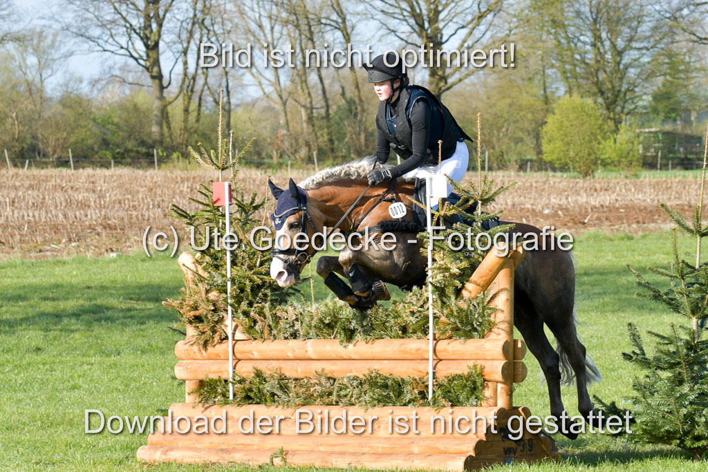 NG Eventing Elmenhorst 21.4.22 | Tauscher, Anna Lara - Andiamo _17