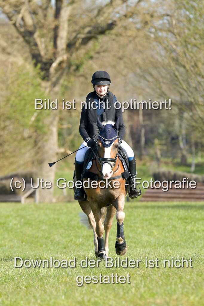 NG Eventing Elmenhorst 21.4.22 | Tauscher, Anna Lara - Andiamo
