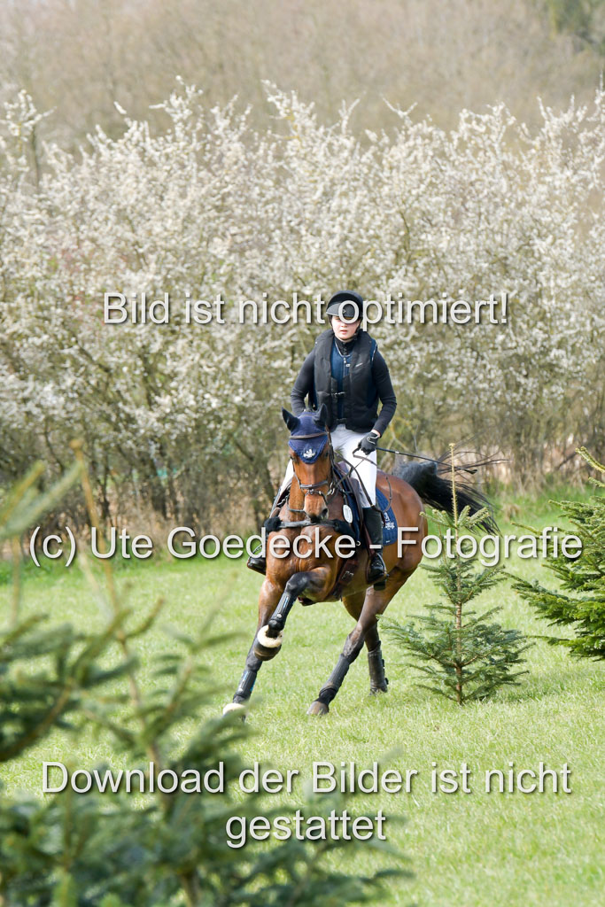 NG Eventing Elmenhorst 21.4.22 | Tauscher, Anna Lara - Rocafina_5