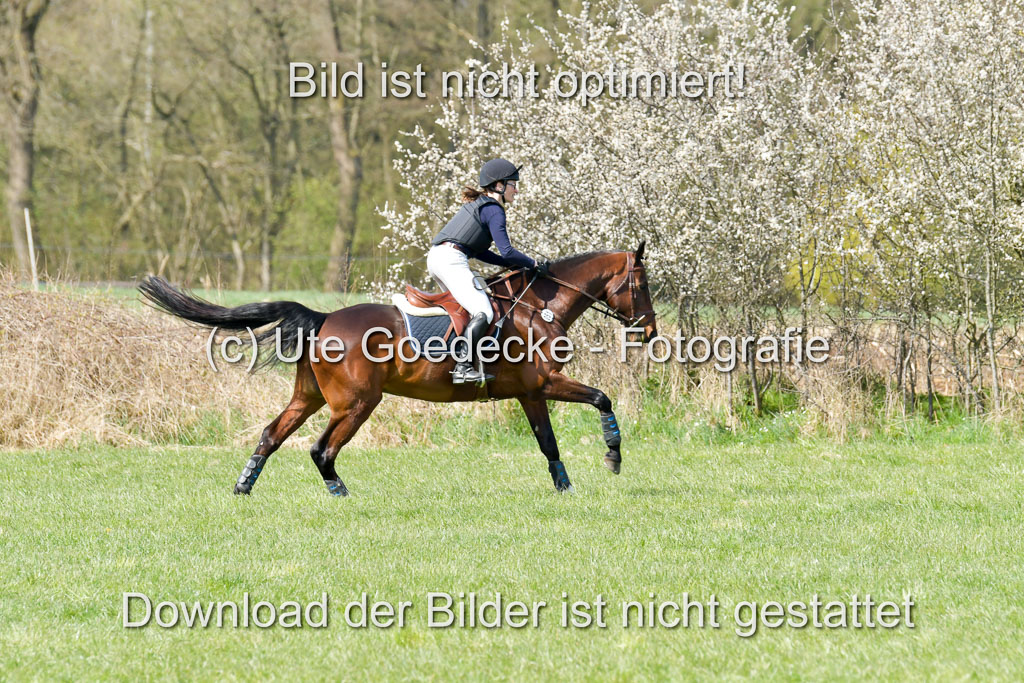 NG Eventing Elmenhorst 21.4.22 | Waidlein, nijucole - Campino_04